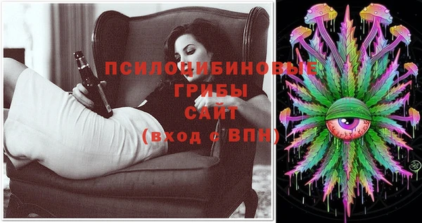 соль курить ск Богородск