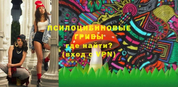 эйфоретик Богородицк