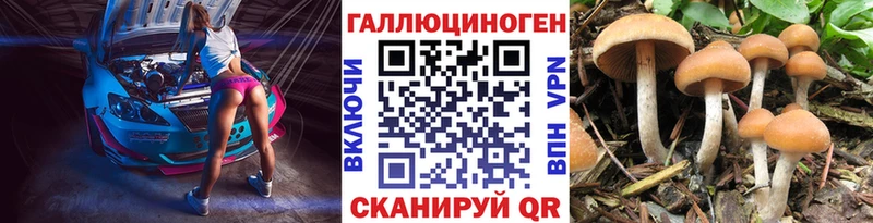 kraken вход  где можно купить   Дудинка  Псилоцибиновые грибы MAGIC MUSHROOMS 